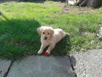 Beny
